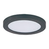 LED 5" 12W Round Wall/Ceiling Flush Mount